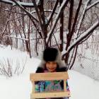 Кормушка для пернатых друзей120587