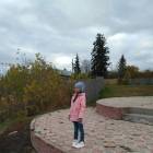 Гора Вшиха и Смотровая башня101536