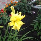 IMG_0336.JPG