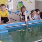 Школьная жизнь 229