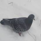 DSCN5285.JPG