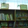 DSC09553.JPG
