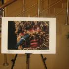 IMG_2835.JPG