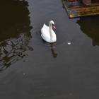 DSC_0651.JPG