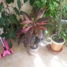 DSCN0573.JPG