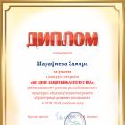 Шарафиева Замира 17