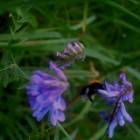 DSCN0362.JPG