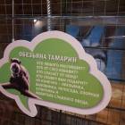 Контактный зоопарк. Казань.75605