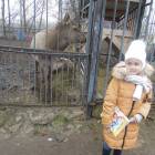 DSCN4912.JPG