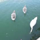 DSCN4586.JPG