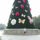 DSCN0341.JPG