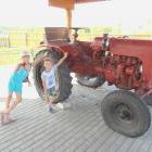 DSCN3493.JPG