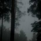 DSCN0299.JPG