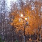 20181108_160356