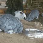 DSCN4892.JPG