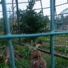 IMG_20160828_092952