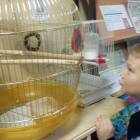 IMG_20171207_150303