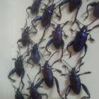 DSCN0437.JPG