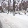 DSC04779.JPG