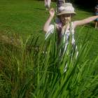 DSCN1659.JPG