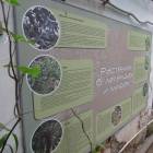 DSCN4802.JPG