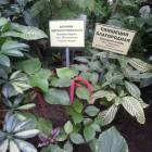 DSCN4788.JPG