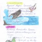 Самый интересный читательский дневник среди 2-х классов РТ75954