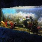 DSCN9925.JPG