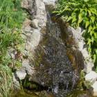 DSCN1526.JPG