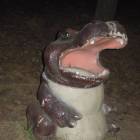 DSCN5229.JPG