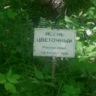 DSCN1625.JPG