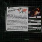 DSCN4815.JPG