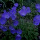 DSCN0207.JPG