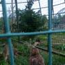 IMG_20160828_092952
