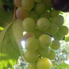 DSCN0655.JPG