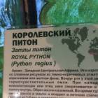 Казанский зооботсад92810