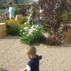 IMG_3769.JPG