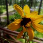 DSCN0391.JPG