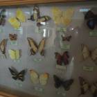 DSCN0430.JPG