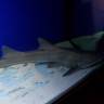 IMG_20160828_103259