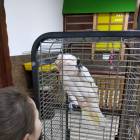 IMG_20181101_180757