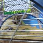 IMG_20171102_160255