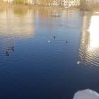 20191025_144353