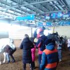 IMG_20180319_144101
