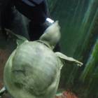 DSCN9963.JPG
