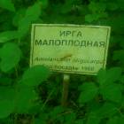 DSCN1610.JPG