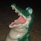 DSCN5230.JPG
