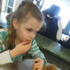 DSCN8738.JPG