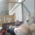 IMG-20180126-WA0018