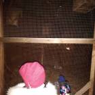 IMG_20181101_163622